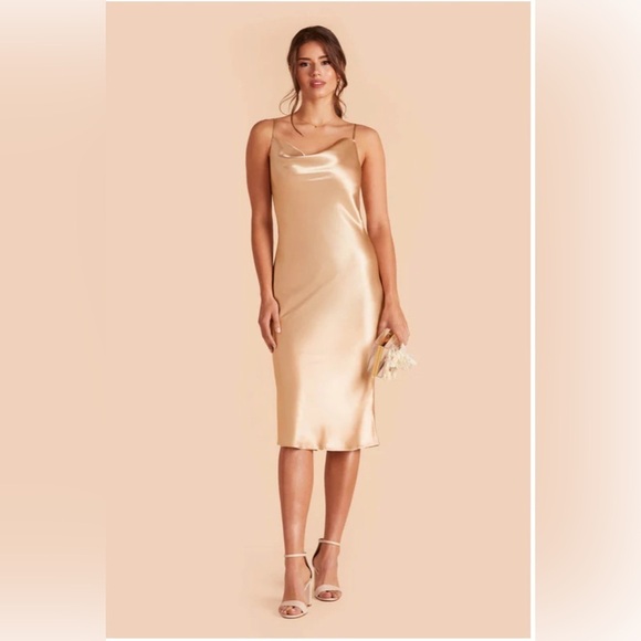 - Birdy Grey Lisa Midi Dress Size L - Picture 1 of 11